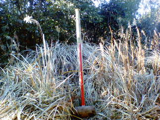 Nec_0025_10